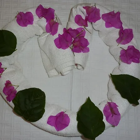 Sun Dream Apart Hotel Apartamento *